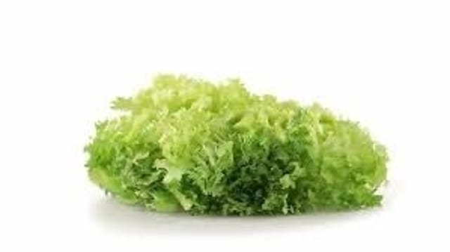 S/Lettuce.